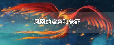​绿色的凤凰叫什么 凤凰颜色寓意是什么