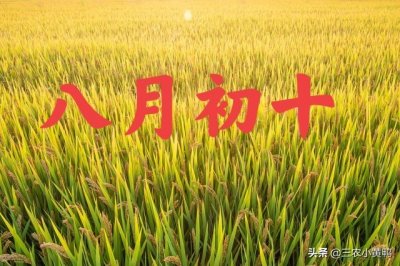 ​今天八月初十，是晴天好还是下雨天好呢？老祖宗这样说