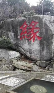 ​年龄差距最大的姐弟恋(姐弟恋年龄相差最大的是多少)