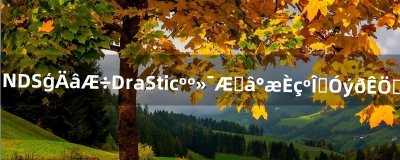 ​NDS模拟器DraStic汉化破解版如何使用金手指