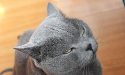 ​医学院活体解剖的人哪里来的(医学院解剖课尸源)