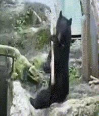 图：这才是真正葛大爷的葛优瘫瘫了