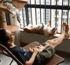 图：这才是真正葛大爷的葛优瘫瘫了