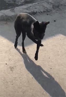 图：这才是真正葛大爷的葛优瘫瘫了