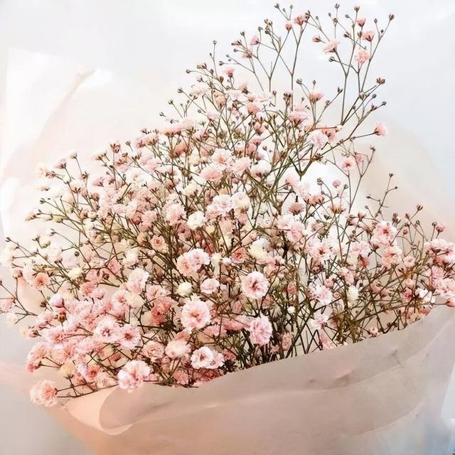 我送你的玫瑰花你接受吗（你的花送对了吗）(8)