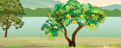 ​柚子发苦还可以吃吗