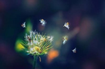 ​大窑汽水是哪里的品牌？大窑汽水哪个口味好喝