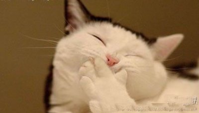 手机短信笑话大全(幽默笑话6则:短信 、帮忙、巧合、骗子、是谁、围棋)