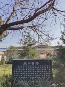 武功镇东河滩会,西北最大的农贸交流古会