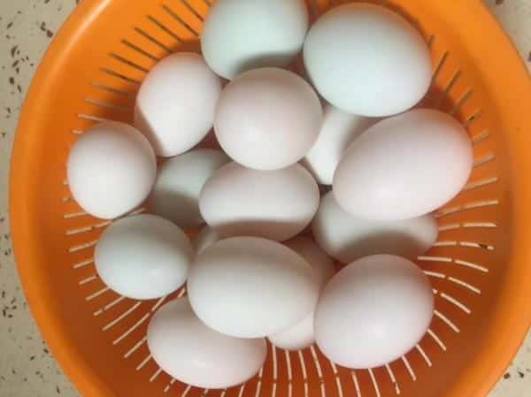 怎样用盐水腌咸鸭蛋好吃出油(腌咸鸭蛋出油的方法)