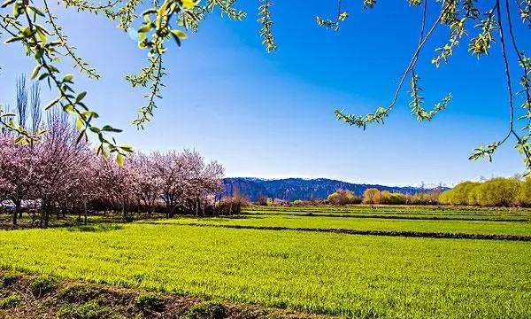 踏青是什么意思,踏青的意思是什么图4