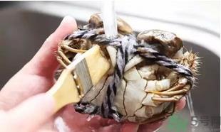绑好的大闸蟹怎么清洗?绑好的螃蟹怎么洗? 绑好的大闸蟹怎么清洗?绑好的螃蟹怎么洗?