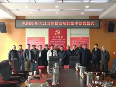 ​总投资20亿元，又有8个招商引资项目集中签约落户枞阳县