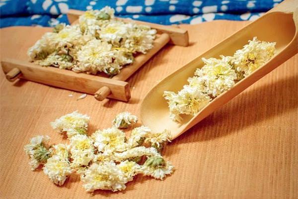 菊花茶可以降血压吗 菊花茶可以空腹喝吗 菊花茶可以降血压吗 菊花茶可以空腹喝吗