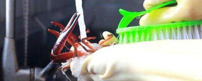 冰冻虾需要洗吗 冻虾用洗吗