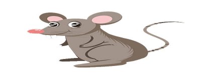 无缘无故被老鼠咬是不好的运气吗? 今年被老鼠咬运气好不好