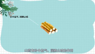 山药发芽了还能不能吃