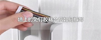 墙上的免钉胶粘合后如何拆卸