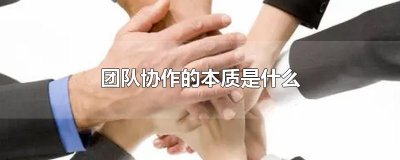 团队协作的本质是什么