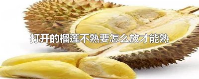 打开的榴莲不熟要怎么放才能熟