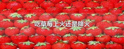 吃草莓上火还是降火