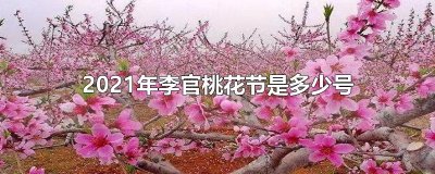 2025年李官桃花节是多少号
