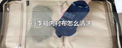 行李箱内衬布怎么清洗