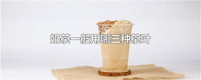 奶茶一般用什么茶叶 一般奶茶用什么茶叶
