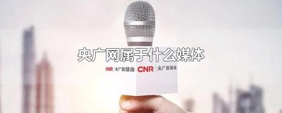 央广网属于什么媒体