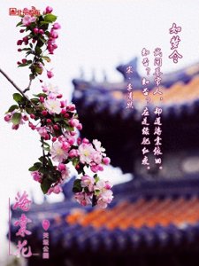 送你一组春天的壁纸,愿所有美好如期而至~