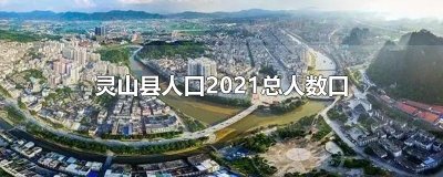 灵山县人口2025总人数口