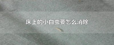 床上的小白虫要怎么消除