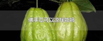 佛手瓜可以凉拌吃吗