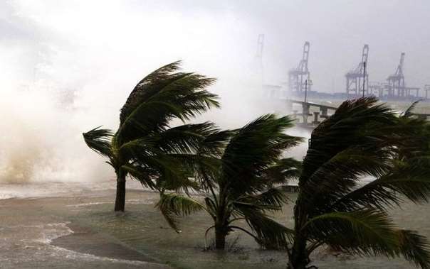 8级风有多大(8级风解释)