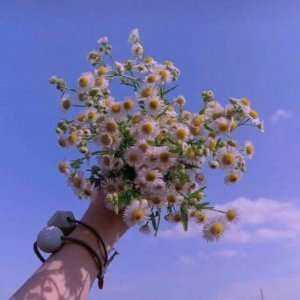 一组很美的壁纸:原宿风