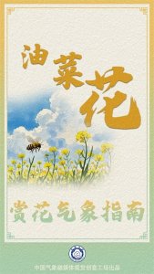 ​油菜花哪里赏？快收下这份油菜花赏花气象指南！