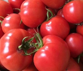 ​乌鲁木齐北园春市场新鲜蔬菜中间价格走势看过来