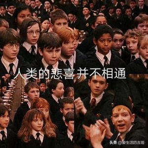 ​人类的悲喜并不都是相通的！