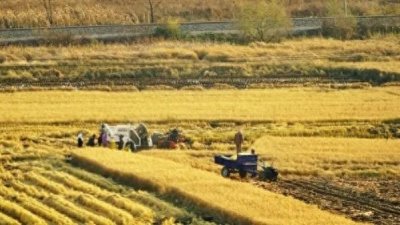 ​农历二月二十九民间故事