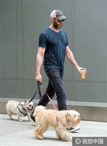 ​“狼叔”休杰克曼休闲装低调出街 胡子拉渣牵萌宠无人识