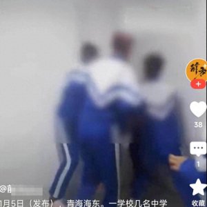 ​青海一学生被多名学生殴打 当地教育部门：涉事4学生被拘留，然后送专门学校矫
