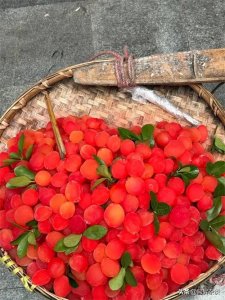 ​当你知道重庆街头的网红“水果”还敢吃吗？