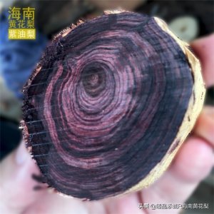 ​什么是海南黄花梨紫油梨