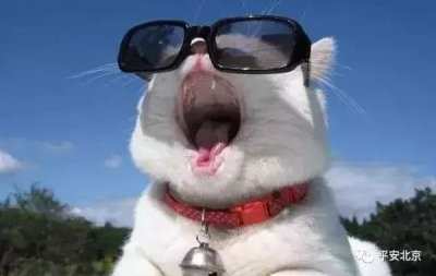 ​蜀黍说：“浴霸”不能的那些事儿