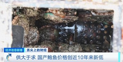 ​20个头一斤32元！这种“名贵食材”便宜了，价格创近10年新低