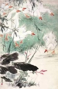 ​王雪涛国画荷花欣赏