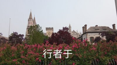 ​济南洪家楼大教堂