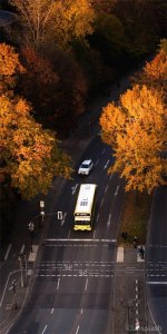 ​十二月的雅称