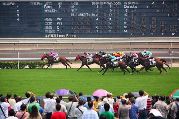 香港跑马场比赛星期天几点开（除参赛马匹的马主外）