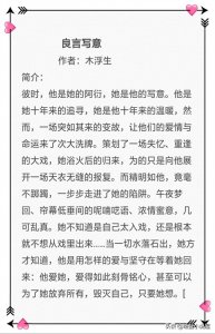 ​强势来袭！！都市深情经典文，木浮生的《良言写意》熬夜追文